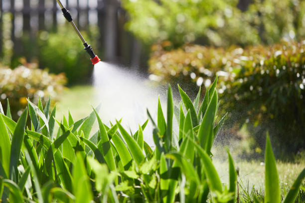 Tamper-Resistant Bait Stations for Rodents in Hope Mills