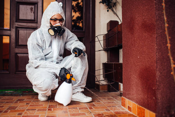 Attic and Crawl Space Rodent Treatment in Hope Mills