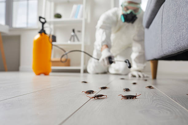 Commercial Rodent Management in Hope Mills